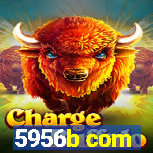 5956b com